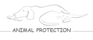 Logo Animal Protection Aegina & Agistri