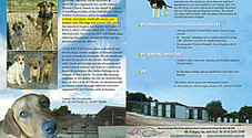 Animal Protection Aegina & Agistri