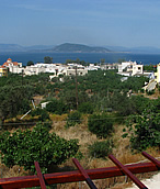 real_estate_1