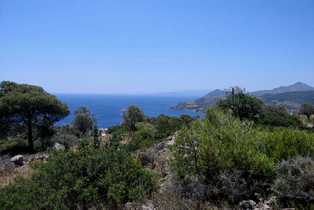 hilltop_paradise_1