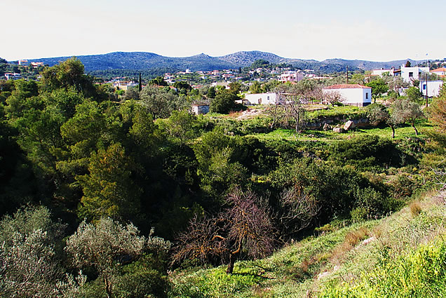 mesagros_aegina_1