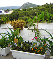 Mitsos apartments - Aghia Marina - Aegina island - Greece