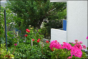 Mitsos apartments - Aghia Marina - Aegina island - Greece
