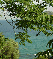 Mitsos apartments - Aghia Marina - Aegina island - Greece