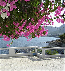 Nikos' seaside studios and apartments - Aghia Marina - Aegina - Long Term Rentals, Self Catering Apartments with Full Sea View