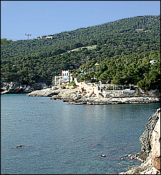 Nikos' seaside studios and apartments - Aghia Marina - Aegina - Long Term Rentals, Self Catering Apartments with Full Sea View