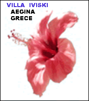 Villa Iviski - Souvala - Aegina island - Greece