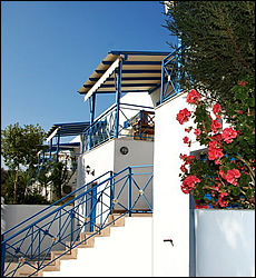 Seaside Houses