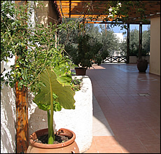 Yialos Studios - Skala - Agistri island - Greece