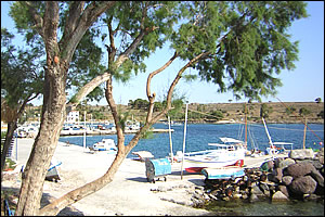 Famous Grouse - Perdika - Aegina island - Greece