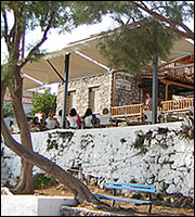 Famous Grouse - Perdika - Aegina island - Greece