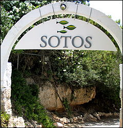 sotos_8
