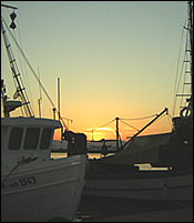 Pela&iuml;sos - Fisherman's house - Aegina town - Aegina island - Greece