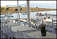 Food & drinks - Perdika - Aegina island - Greece
