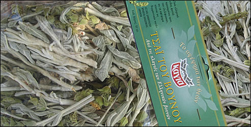 Greek Mountain Tea