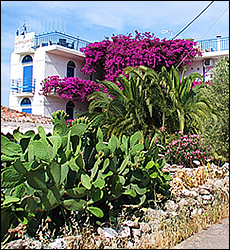 Hotel Hippocampus - Perdika - Aegina island - Greece