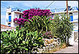 Hotels Perdika - Aegina island - Greece
