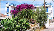 Hotel Hippocampus - Perdika -  Aegina island - Greece