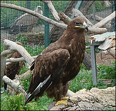 Wild life centre