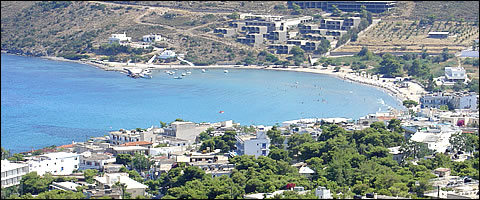 Lafry - Aegean Gold - Aegina island - Greece