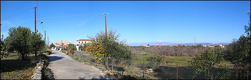 plot for sale - Kipseli - Aegina island