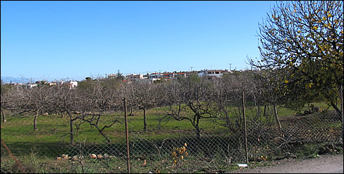 plot for sale - Kipseli - Aegina island