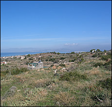 Pagoni - plot