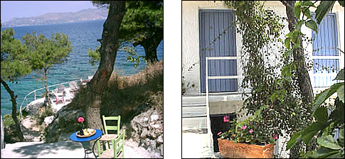 Rosy's Little Village