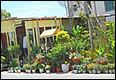 Shops - Aegina Town - Aegina island - Greece