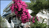 Hotel Liberty 2 - Aghia Marina