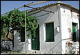 Pacheia Rachi