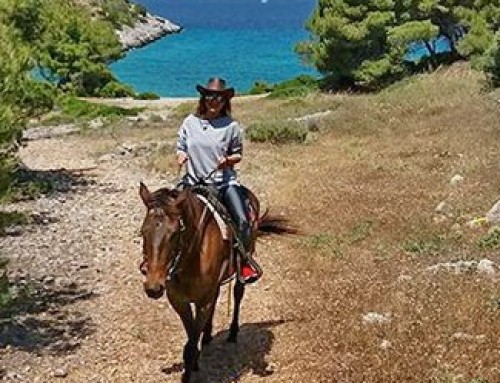 Horse Riding on Agistri island