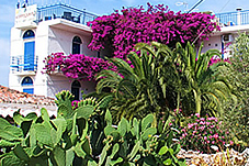 Hotel Hippocampus - Perdika
